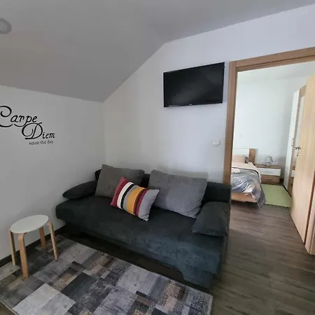 Apartmaji Ribic Ljubno Exterior photo
